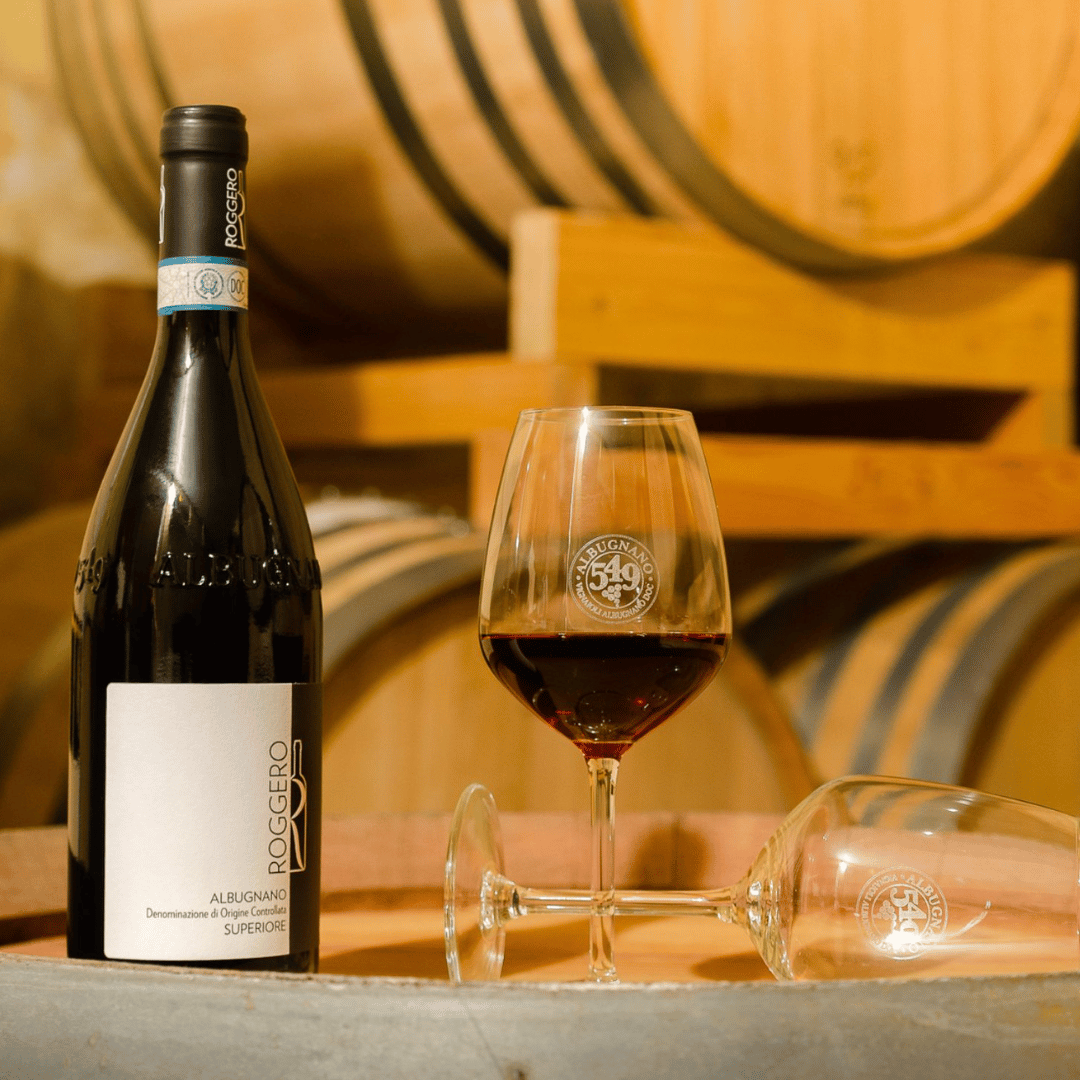 Wine Tasting and Winery Visit near Asti and Turin - Wine Tasting - Touraround