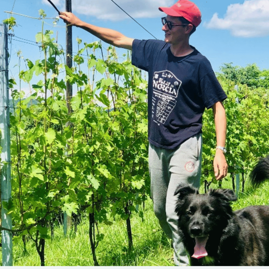 Wine Tasting and Winery Visit near Asti and Turin - Wine Tasting - Touraround