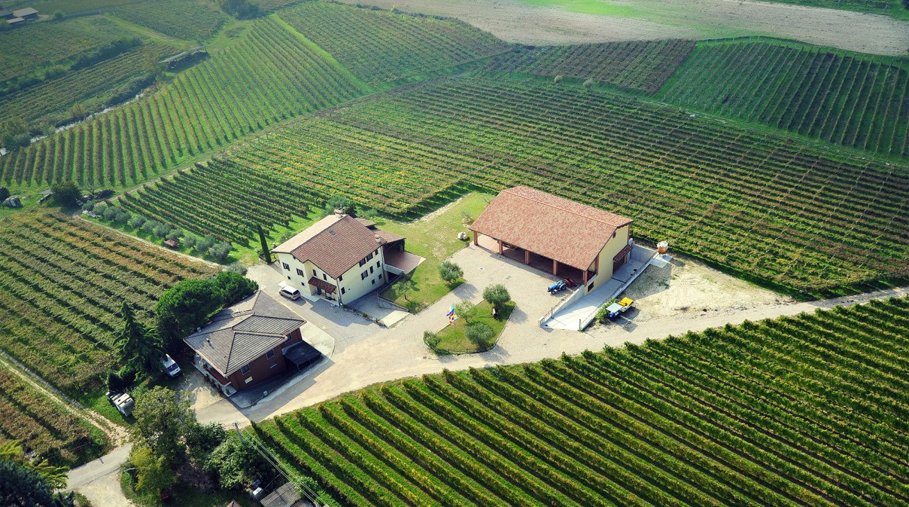 Wine Tasting with cellar tour near Verona and Lake Garda - Wine Tasting - Touraround