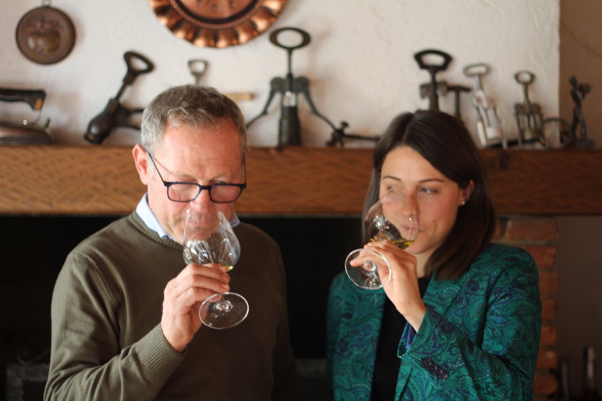 Wine Tasting with cellar tour near Verona and Lake Garda - Wine Tasting - Touraround