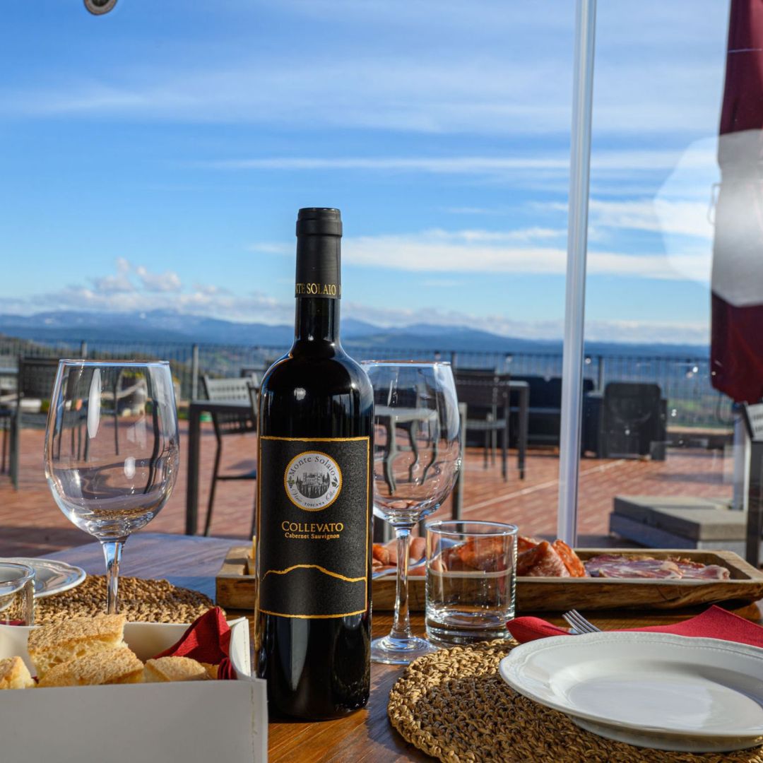 Wine Tasting with Local Food Pairing near Livorno - Wine Tasting - Touraround