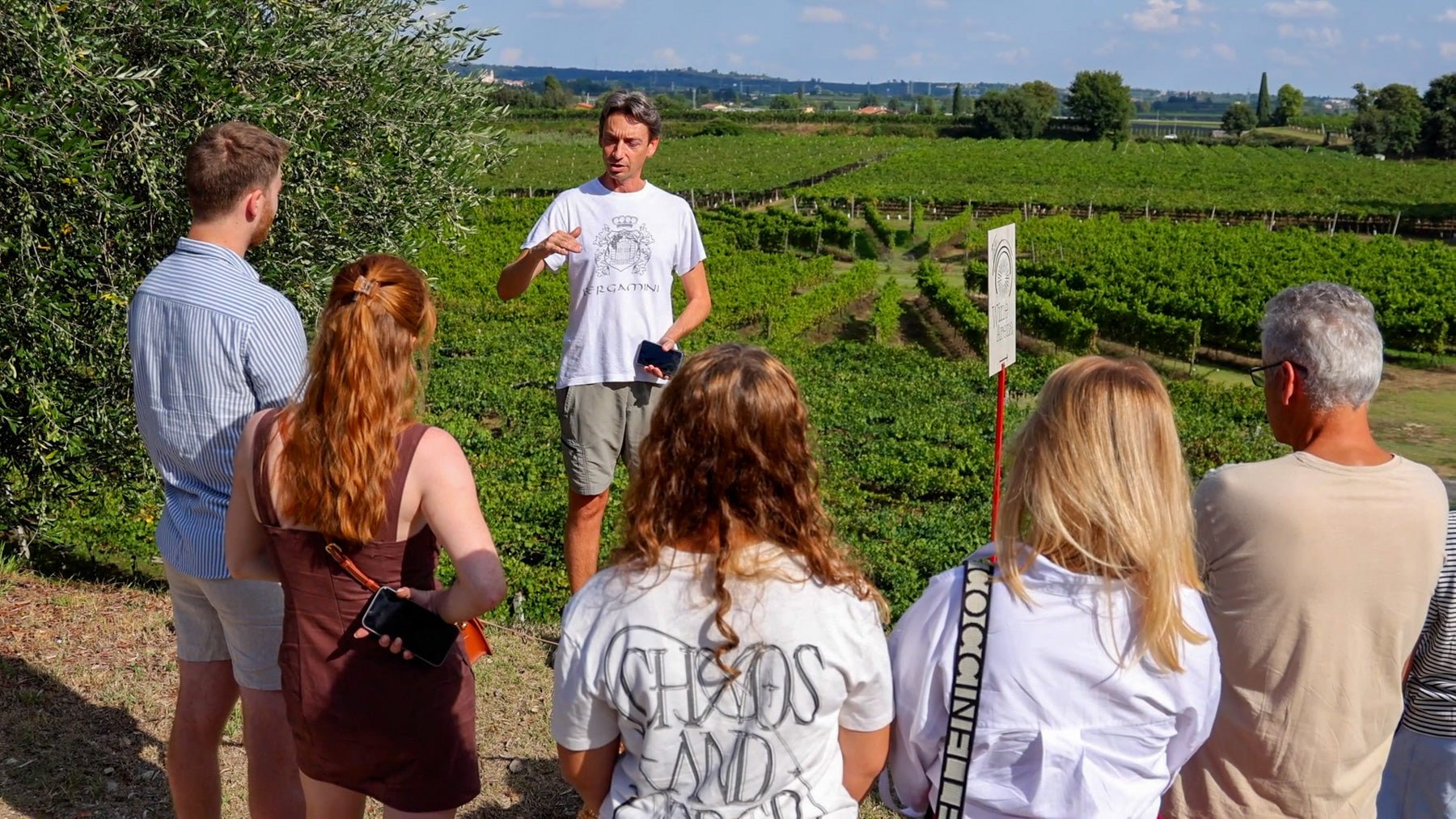 Winery Tour and Tasting of Garda Wines in Lazise - Wine Tasting - Touraround