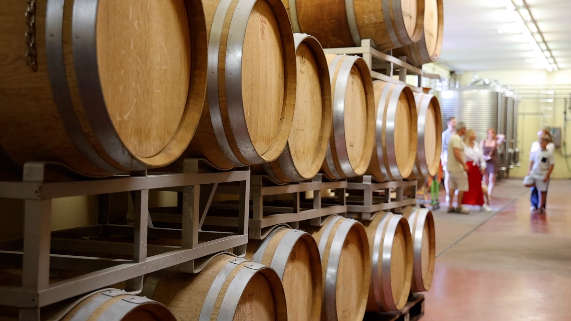 Winery Tour and Tasting of Garda Wines in Lazise - Wine Tasting - Touraround