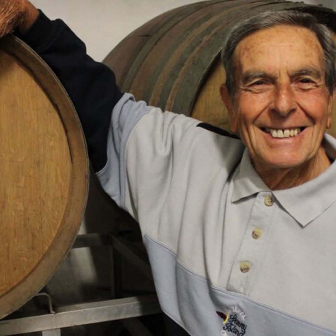 Winery Tour and Wine Tasting with Food at Roman Castles - Wine Tasting - Touraround