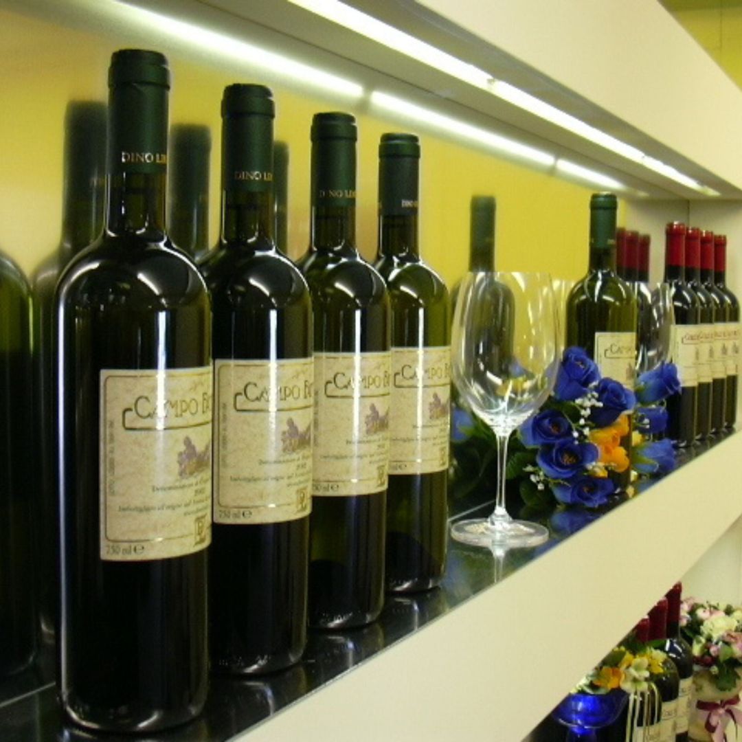 Winery Tour and Wine Tasting with Food at Roman Castles - Wine Tasting - Touraround