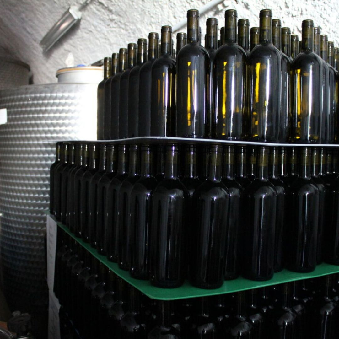 Winery Tour and Wine Tasting with Food at Roman Castles - Wine Tasting - Touraround