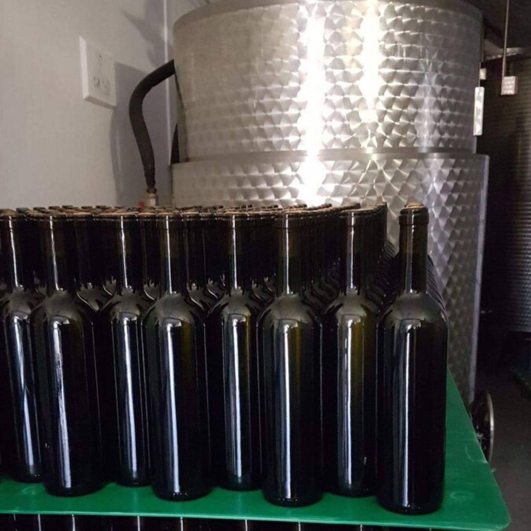 Winery Tour and Wine Tasting with Food at Roman Castles - Wine Tasting - Touraround