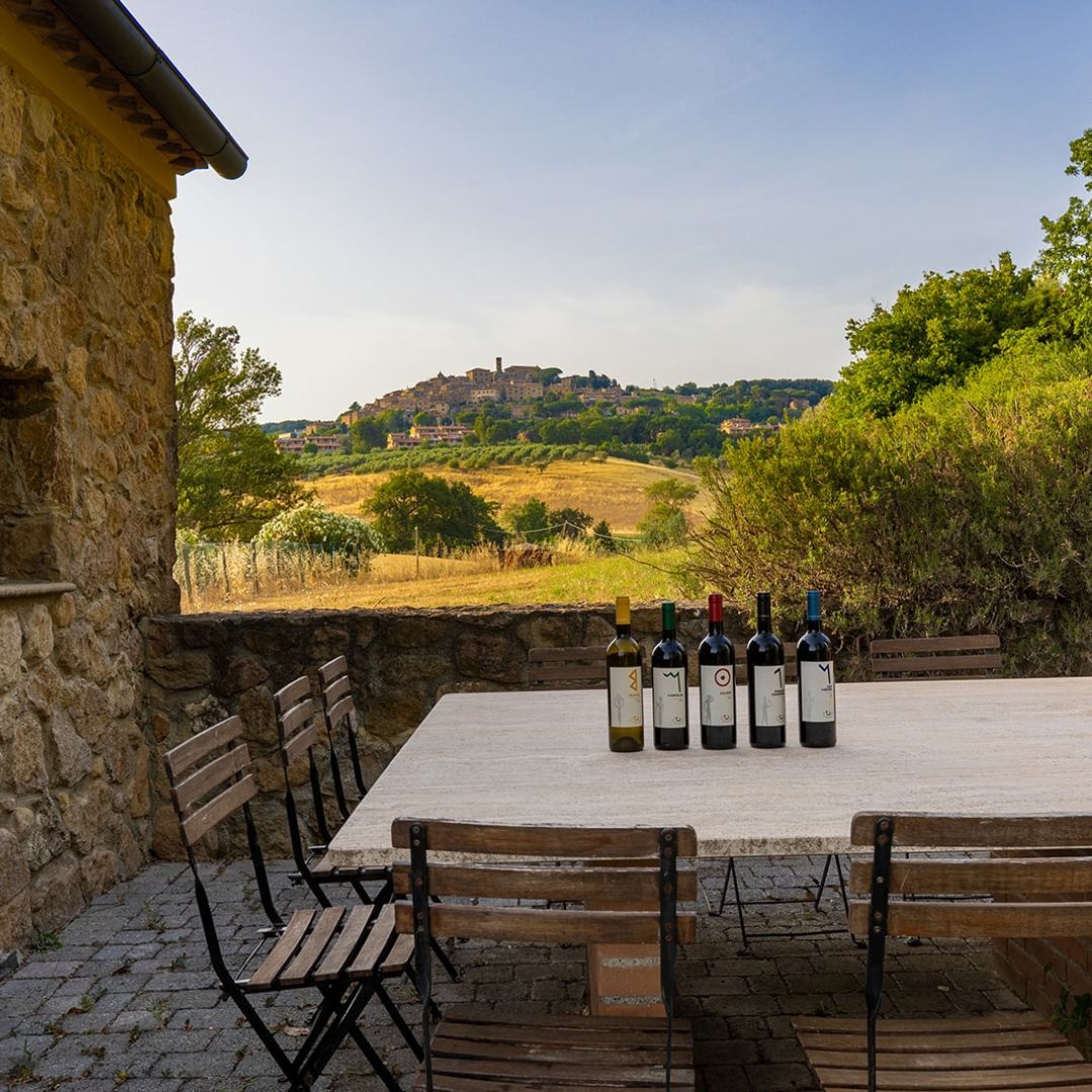 Winery Tour and Wine Tasting with Food near Livorno and Pisa - Wine Tasting - Touraround