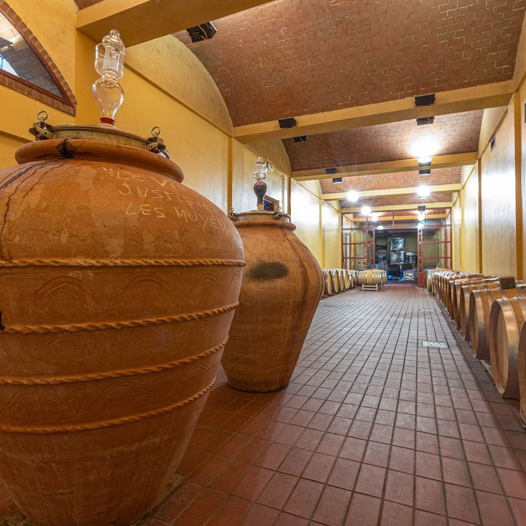 Winery Tour and Wine Tasting with Food near Livorno and Pisa - Wine Tasting - Touraround