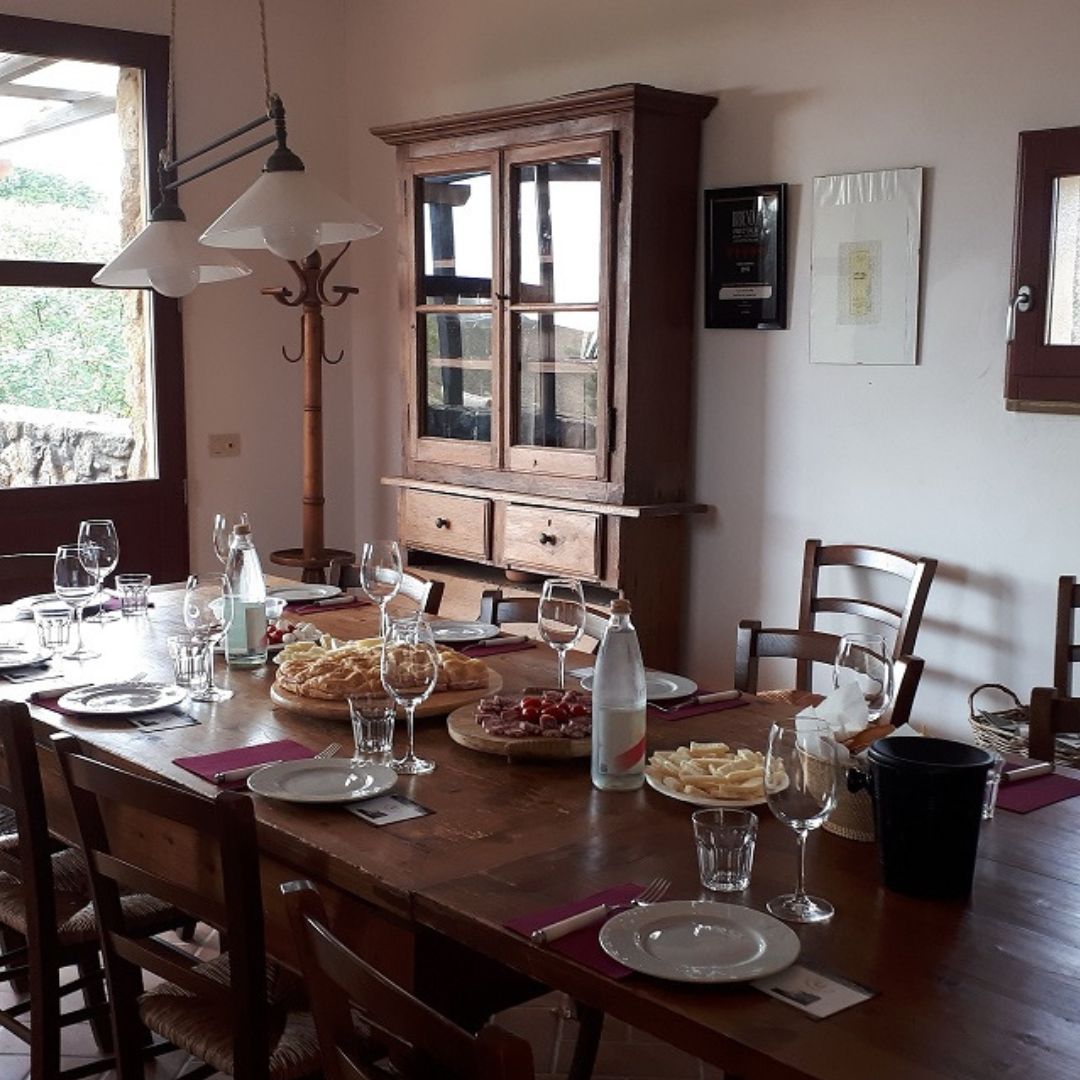 Winery Tour and Wine Tasting with Food near Livorno and Pisa - Wine Tasting - Touraround