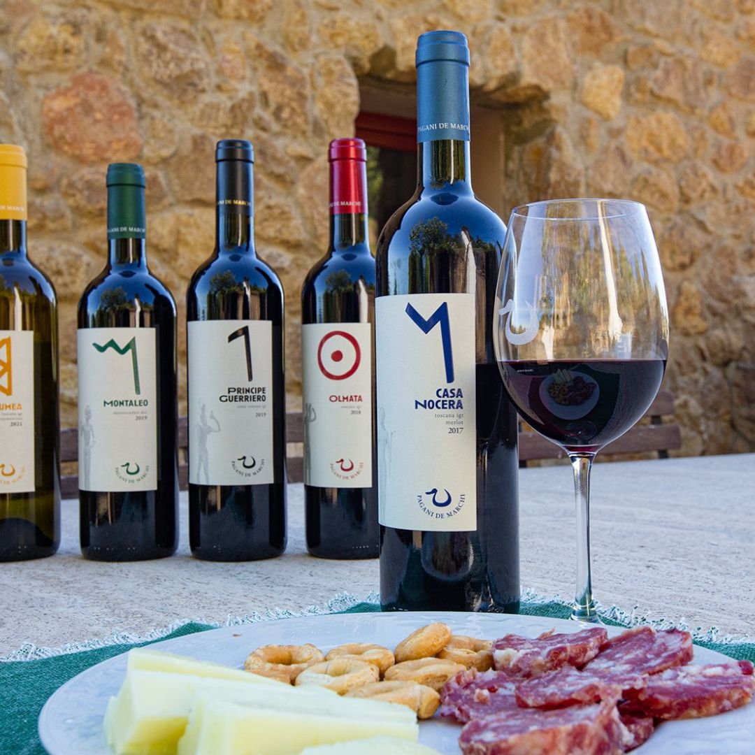 Winery Tour and Wine Tasting with Food near Livorno and Pisa - Wine Tasting - Touraround