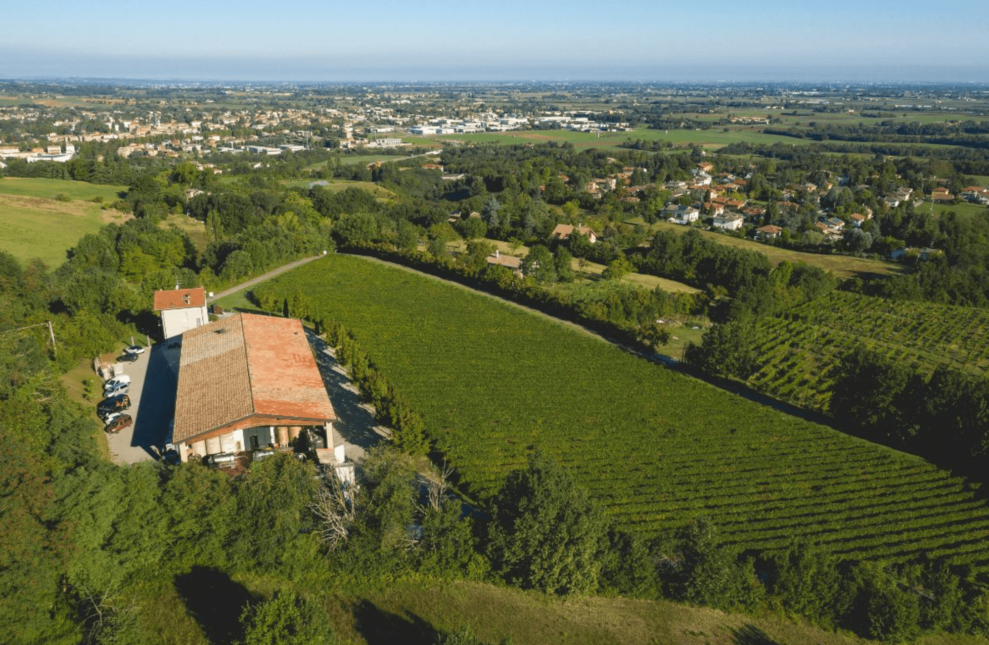 Winery Visit on Parma Hills & Wine Tasting with Food Platter - Wine Tasting - Touraround