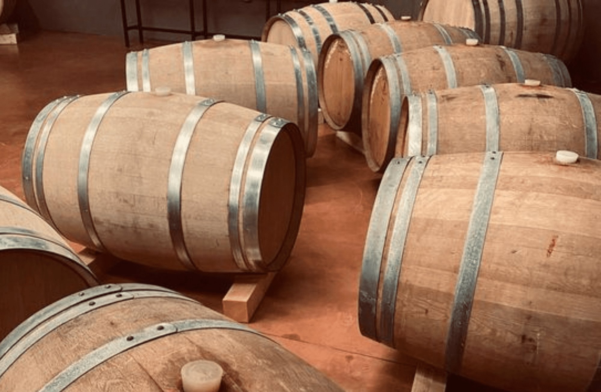Winery Visit on Parma Hills &amp; Wine Tasting with Food Platter - Wine Tasting - Touraround