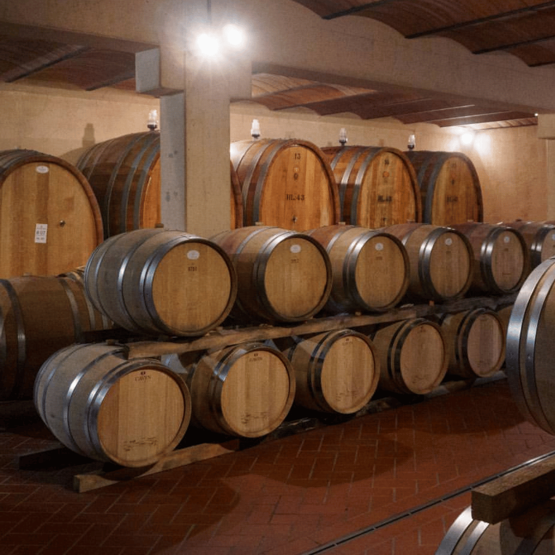 Winery Visit &amp; Tasting near Grosseto with 6 wines - Wine Tasting - Touraround